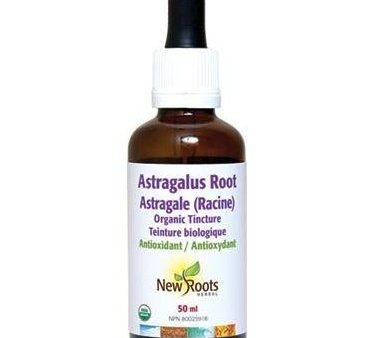 New roots - astragalus root 8000 Fashion