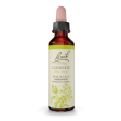 Bach - clematis flower remedies - 20 ml Online Sale